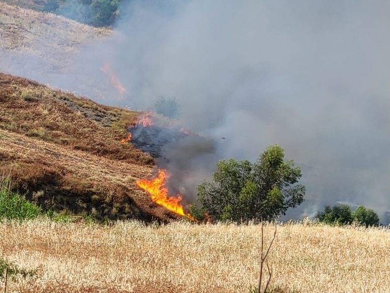 Incendio colline sidernesi