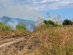 Incendio periferia sud siderno