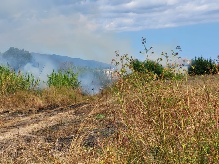 Incendio periferia sud siderno