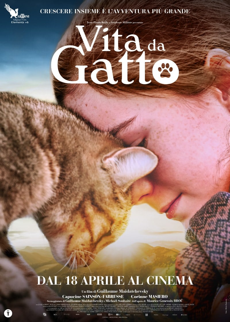 Vita da gatto